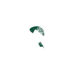 Parapentiste