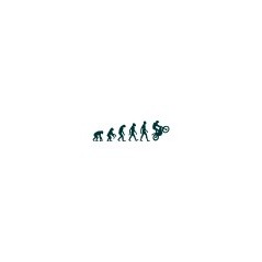 Evolution trial