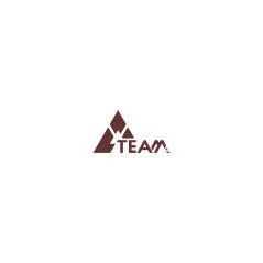 Logo triangle Team 38