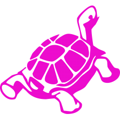 Tortue