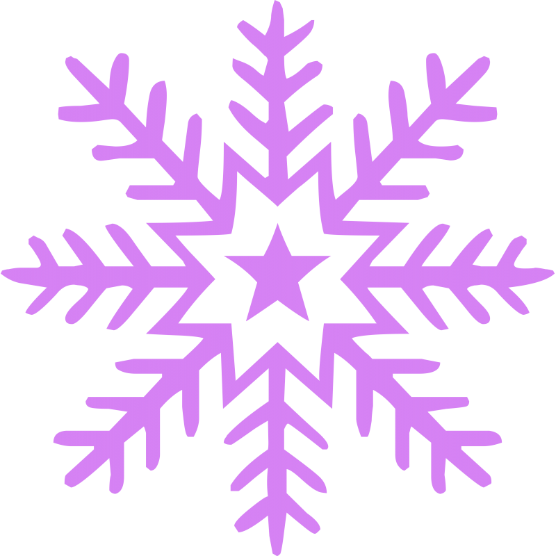 Flocon neige