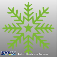 Flocon neige