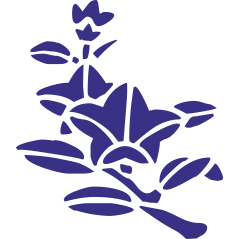 Decoration florale