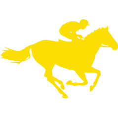 Cheval et jockey