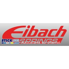 Eibach springs