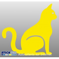Chat