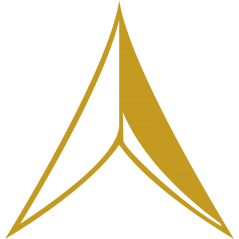 Dynastar monogramme