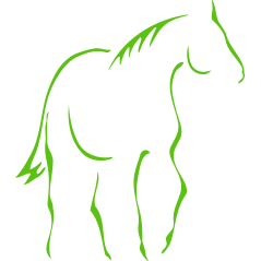 Cheval