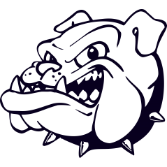 Bull dog