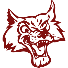 Coyote