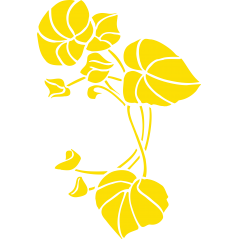 Fleur