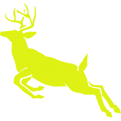 Cerf