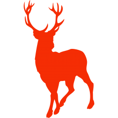 Cerf