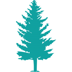 Arbre
