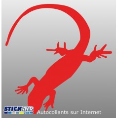 Gecko