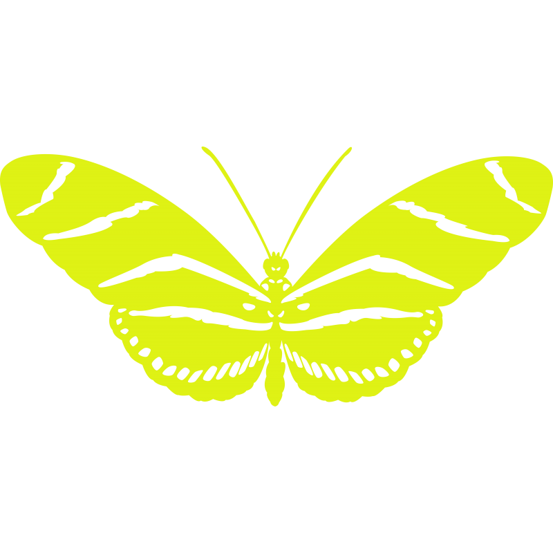 Papillon