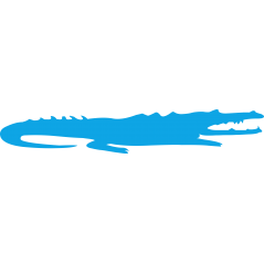 Crocodile