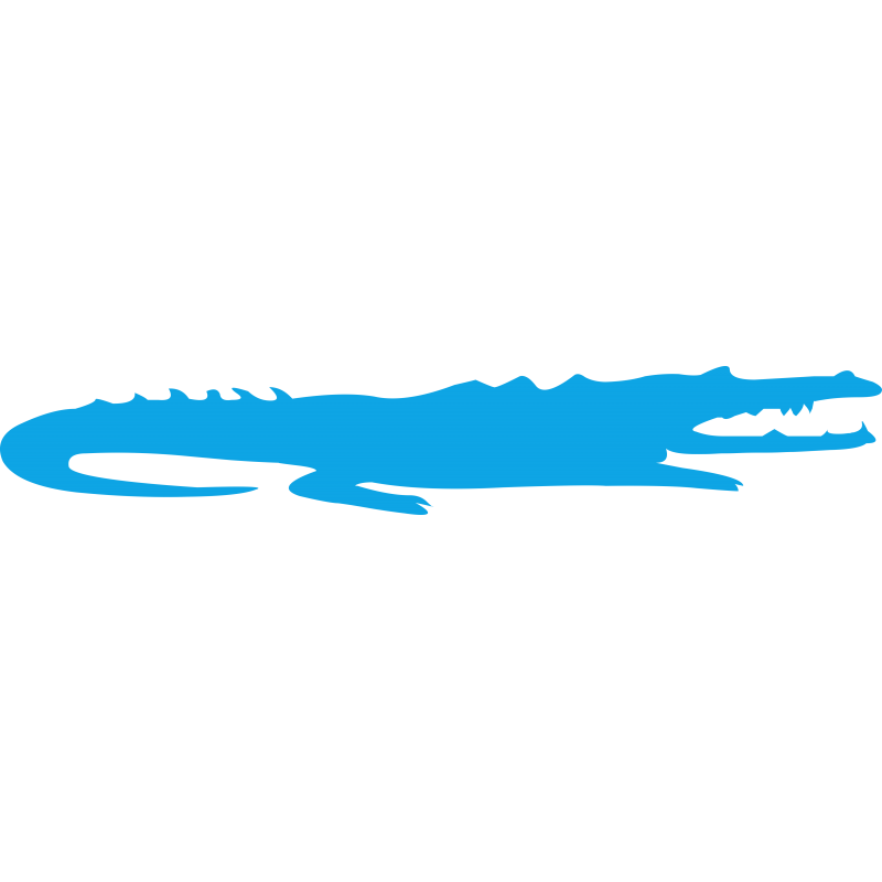Crocodile