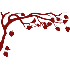 Cadre branches et feuilles