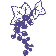 Grappe myrtrille