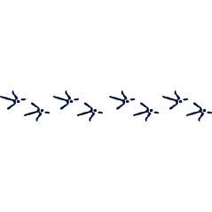 Frise empreintes d'oiseau