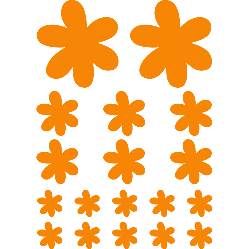 Planche marguerites