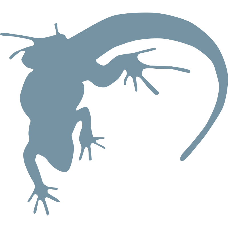 Gecko