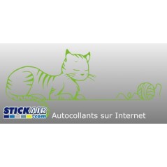 Chat pelote de laine