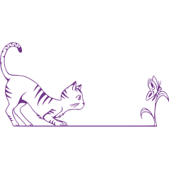 Chat et papillon