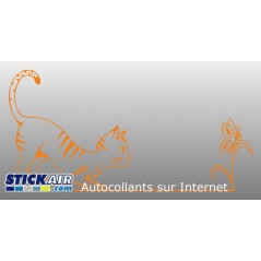 Chat et papillon