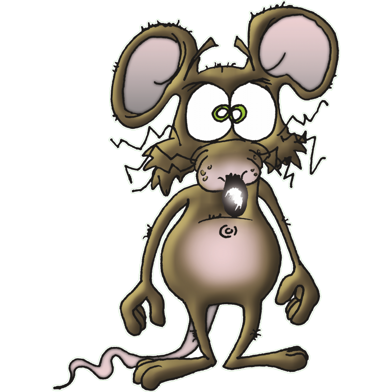 Rat