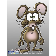 Rat