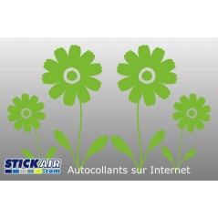 Marguerites