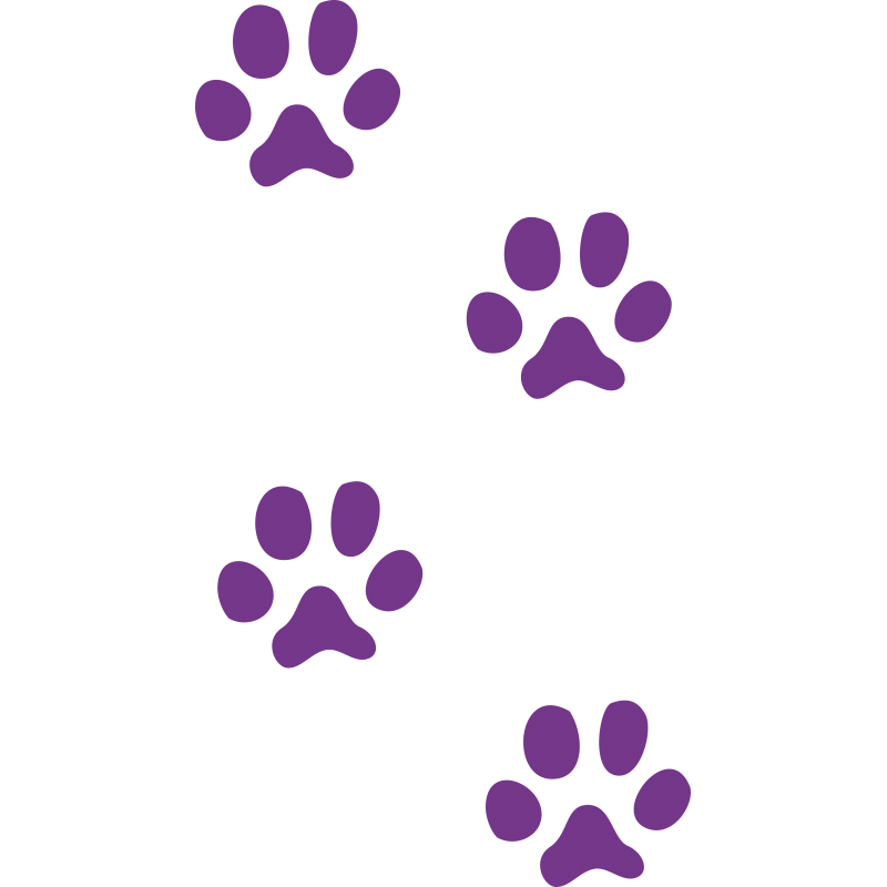 Empreintes de chat