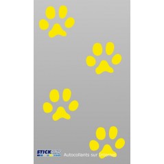 Empreintes de chat