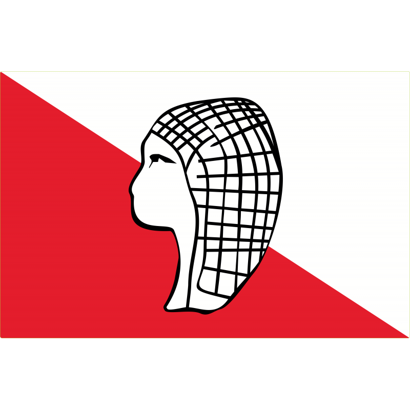 Drapeau Gascogne