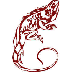 Iguane