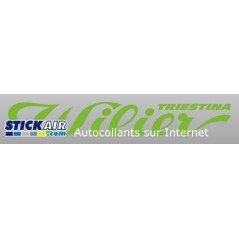 Wilier Triestina