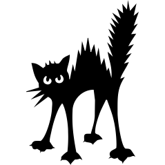 Chat colère