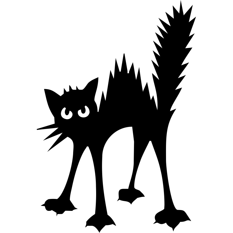 Chat colère
