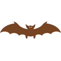 Chauve souris