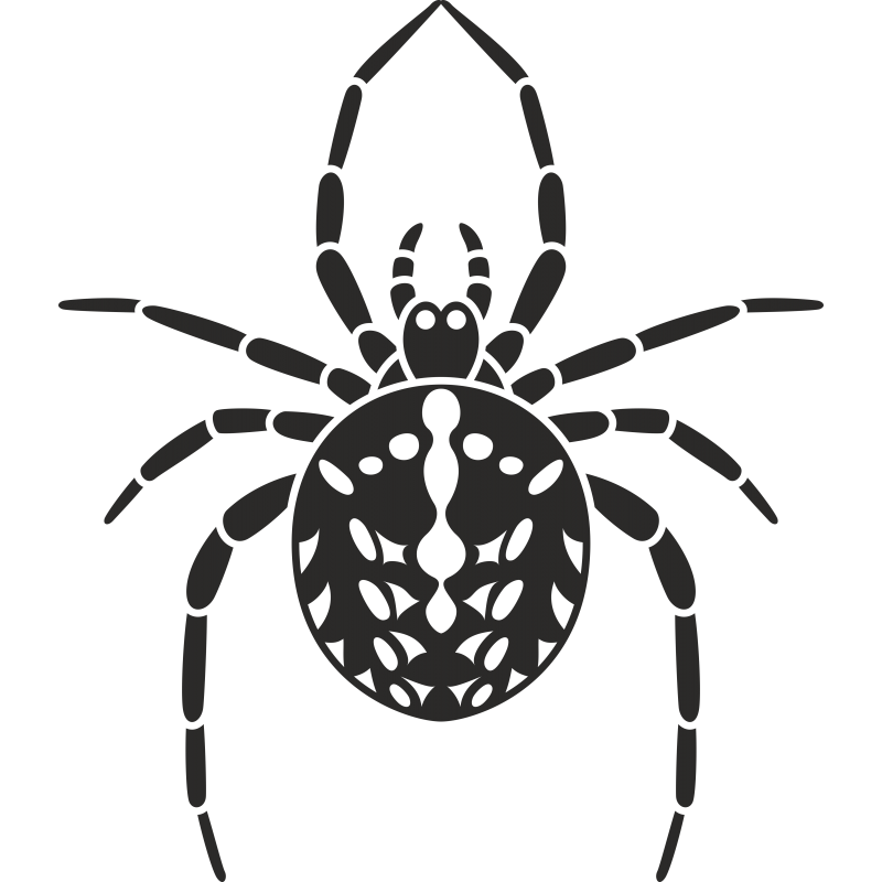 Araignee