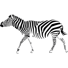 zèbre