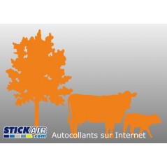 Vache veau