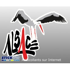 Cigogne envol