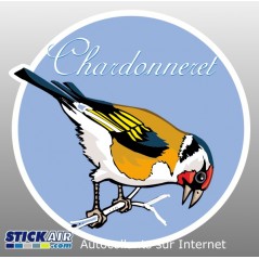 Oiseau chardonnet