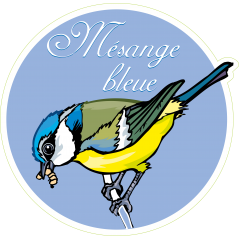 Oiseau mésange
