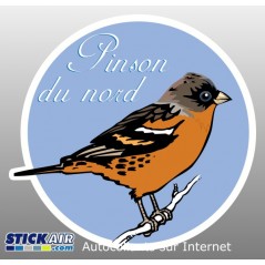 Oiseau pinson