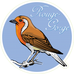 Oiseau rouge gorge