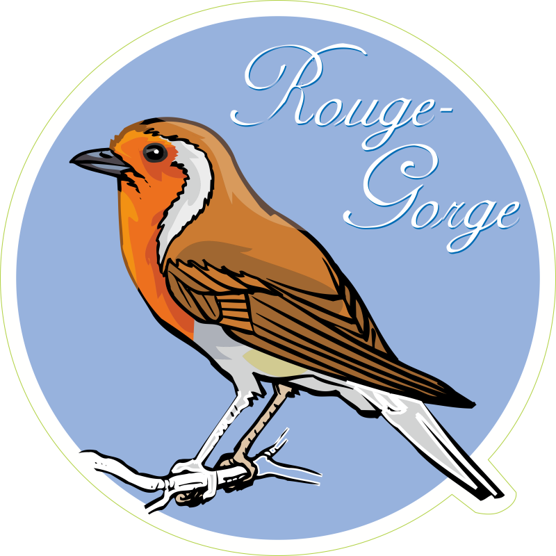 Oiseau rouge gorge